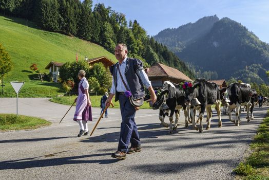 Charmey, Fribourg, Switzerland - SEPTEMBER 26 2015 : Farmers with a herd of cows on the annual transhumance at Charmey near Gruyeres, Fribourg zone on the Swiss alps