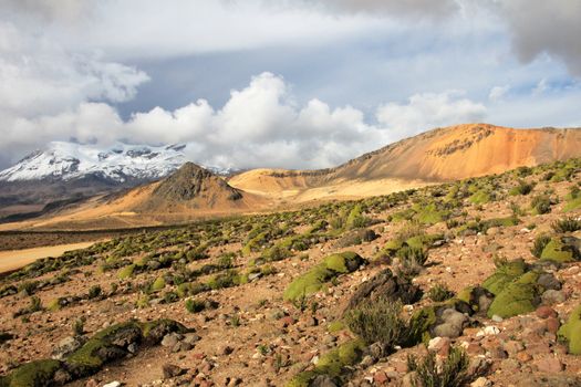 The three peaks of volcano coropuna in the andean mountains of Peru, near cotahuasi canyon