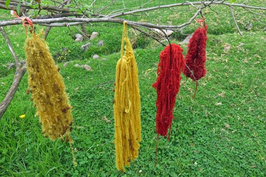 Bundles of inca colored dyed wool drying on a tree in Peru, sacred valley.