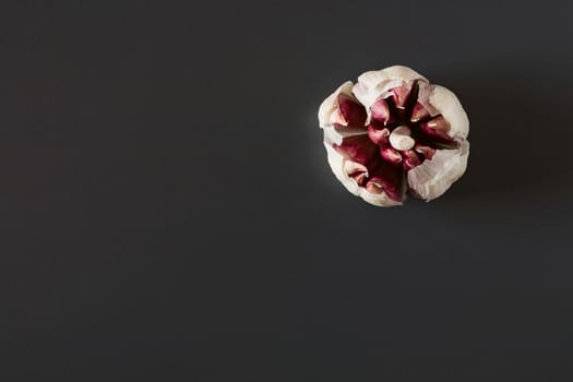 Red garlic over a dark background seen from above