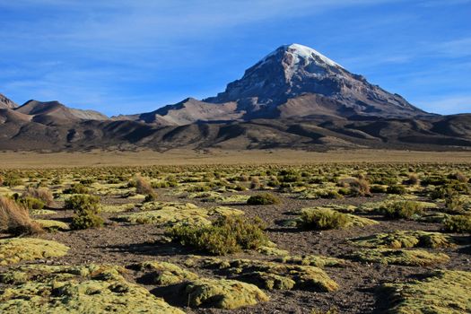 Sajama mountain in the National Park, Bolivia, near boarder to Chile