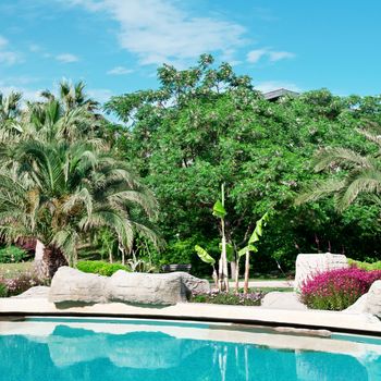 palm trees and flowers around the outdoor pool