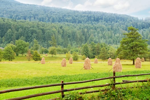 haystacks in the mountain valley of the Carpathian Mountains