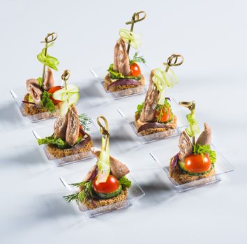 Bruschettas with liver roulade and vegetables on light background