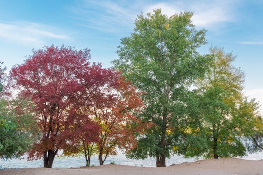 Colourful green, red, yellow, orange trees on river coast