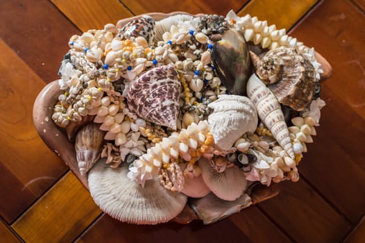 decorative sea shells and corals closeup on a wooden table