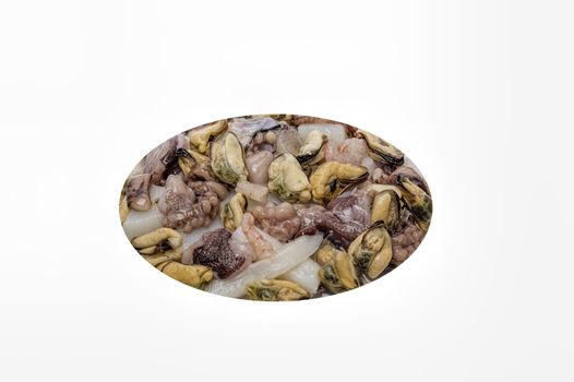 seafood mix of fresh isolate the inhabitants of the sea