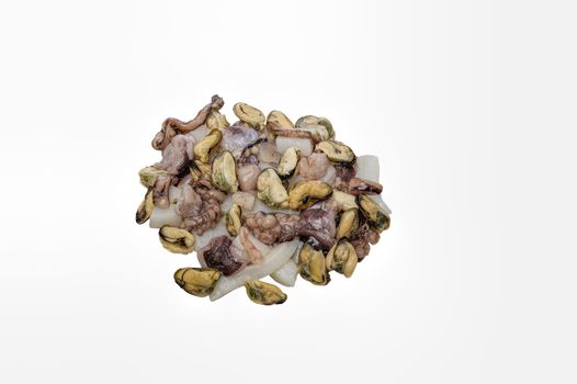 seafood mix of fresh isolate the inhabitants of the sea