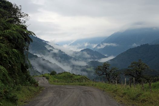 Road trough cloudforest in ecuadorian mountains driving down to amazonas basin.