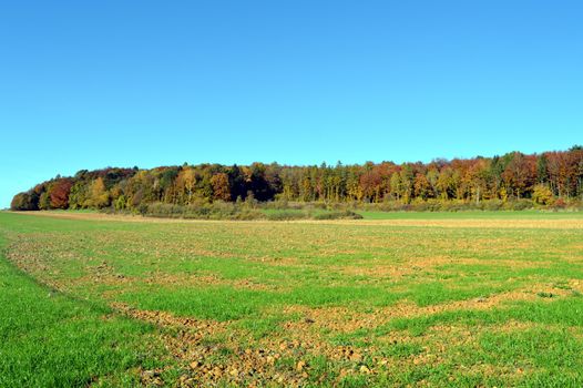 plow fields with autumn trees in the background