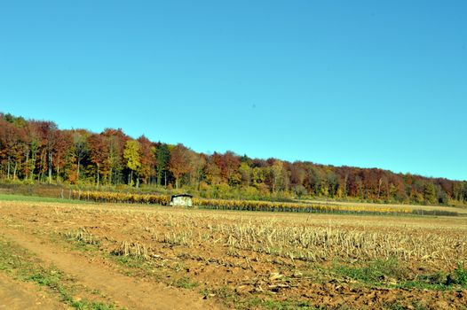 plow fields with autumn trees in the background