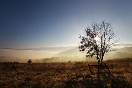 sunrise with fog over field at autumn