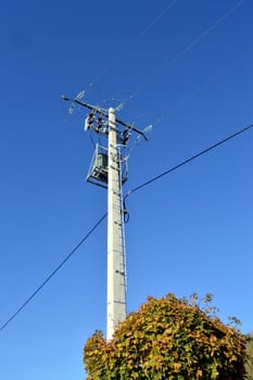 Electric with a pylon of a shrub