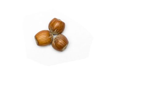 Three hazelnuts in a white background