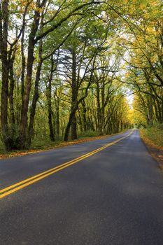 Historic Columbia River Highway at Columbia River Gorge Oregon in Fall Season