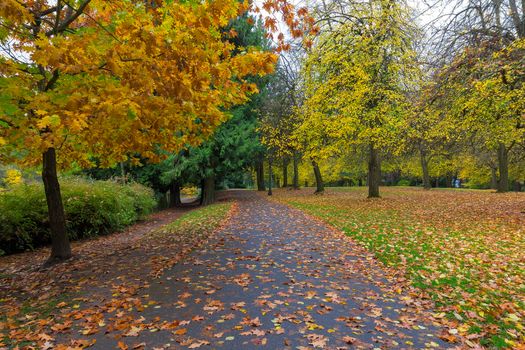 Fall foliage at Laurelhurst Park in city of Portland Oregon during Autumn season