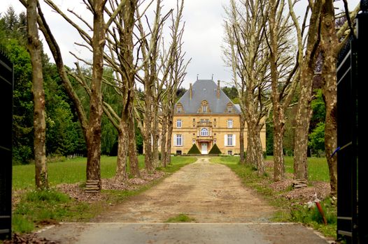 Former castle in the forest with a path of trees and a big lawn.