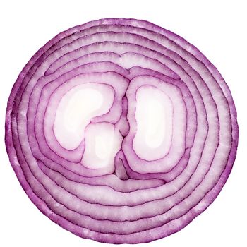 Half of cut red onion isolated on white background, close up