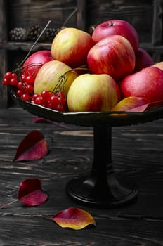 Harvest of juicy autumn apples in vase for fruits