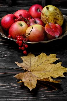 Harvest of juicy autumn apples in vase for fruits