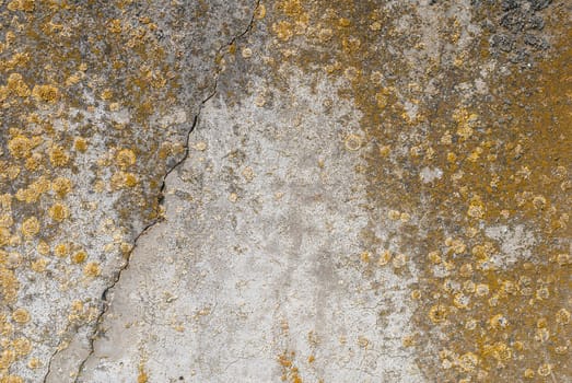 fragment of a concrete wall, which has undergone deformation due to prolonged exposure to various climatic conditions