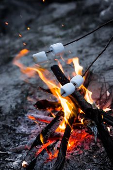 Roasting marshmallows on bonfire late in the evening with sparkles coming up from the fire