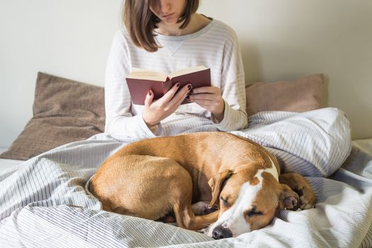 Female person reading book in bed in the morning with dog sleeping in front of her
