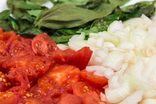 Peeled red tomatoes, chopped onion and garlic, basil leaves as ingredients for italian tomato sauce