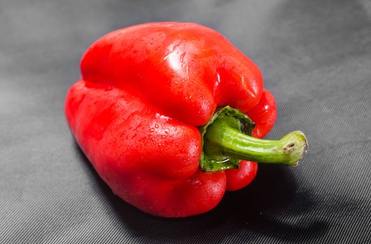 Red pepper with a green sprig on a black background. Horizontal photo. Full review
