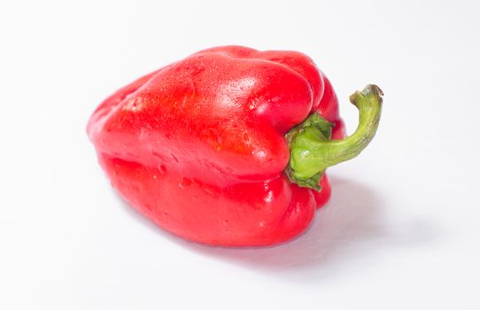 Red pepper on white background with green tail. Side view