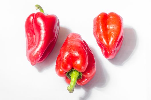 Three red peppers on a white background with a green tail. The view from the top