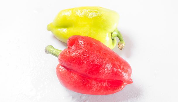Two peppers green and red on a white background.  View from above