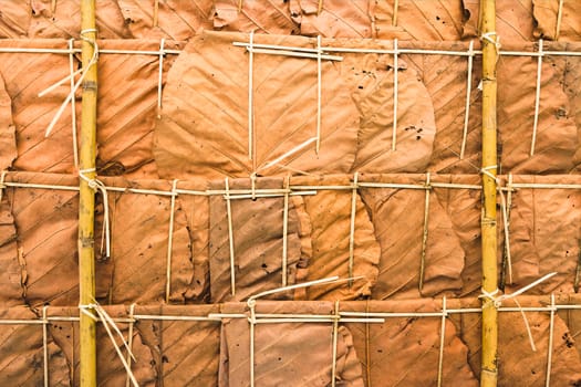 Thatched roof from bamboo stem and dried leaves, bottom view texture