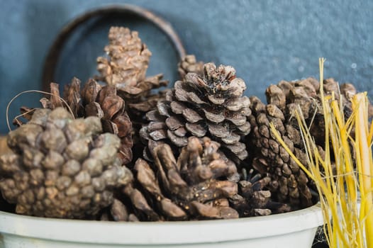 Pine cones in a bucket, selective focus