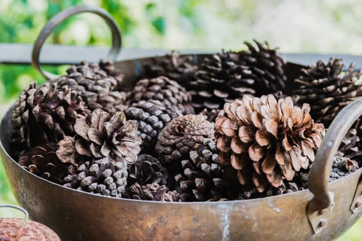 Pine cones in a pot, selective focus