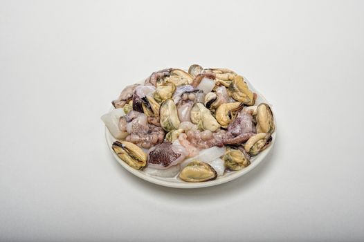seafood mix of fresh isolate the inhabitants of the sea