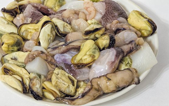 seafood mix of fresh isolate the inhabitants of the sea