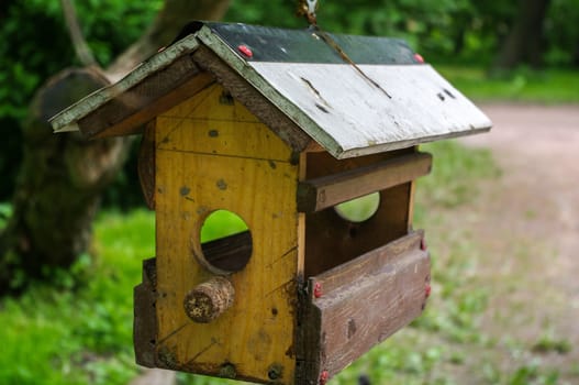 a yellow bird house in a lush garden