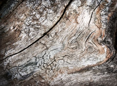 background or texture abstract drawings on old weathered wood
