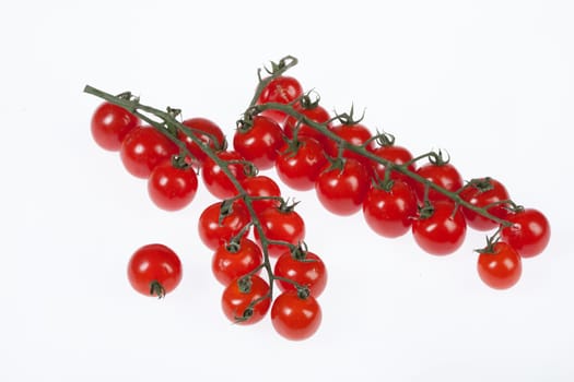 Little tomatoes on an isolated studio background