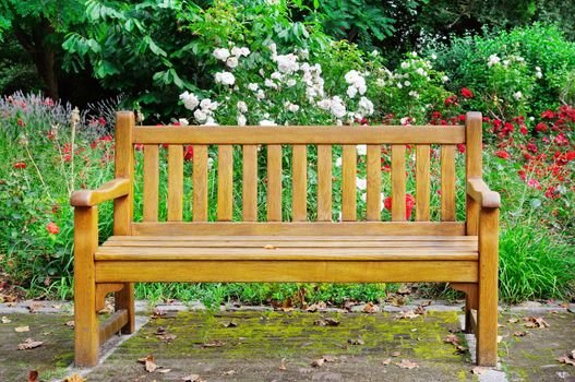 Wooden bench in the autumn park