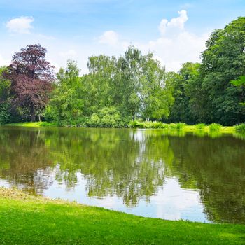 scenic lake in the summer park