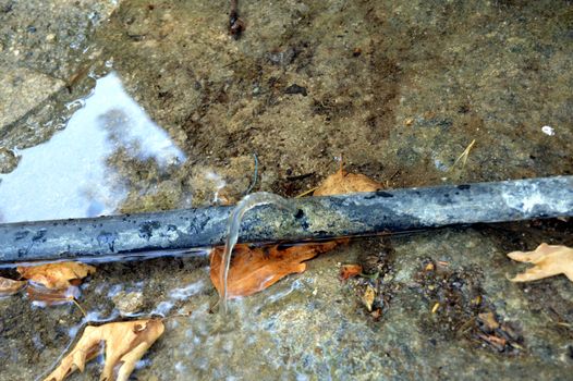 Plastic water pipe on the ground with a water leak.