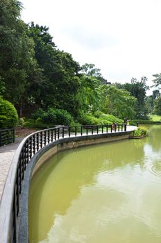 SINGAPORE - OCT 31, 2016: Lake in public park surrounded by green field and trees at Singapore Botanic Garden