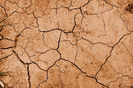 dry mud background texture. Global Warming                               