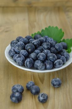 Blueberries on white plate over  wooden background