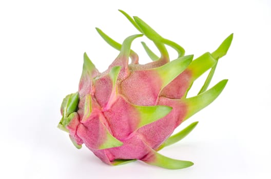 Fresh pink pitaya or dragon fruit  on white background