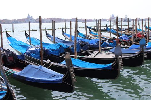 view of gondolas on the Grand Canal of Venice, Venice, Italy