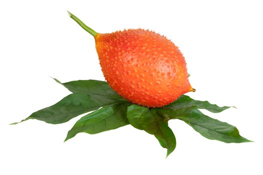 Baby Jackfruit isolated (Or Cochinchin Gourd, Spiny Bitter Gourd, Sweet Gourd, Momordica cochinchinensis) on white objects with clipping paths