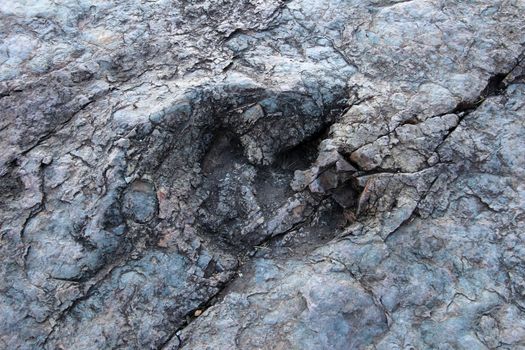 Huge dinosaur footprints, valley of Maragua, Bolivia